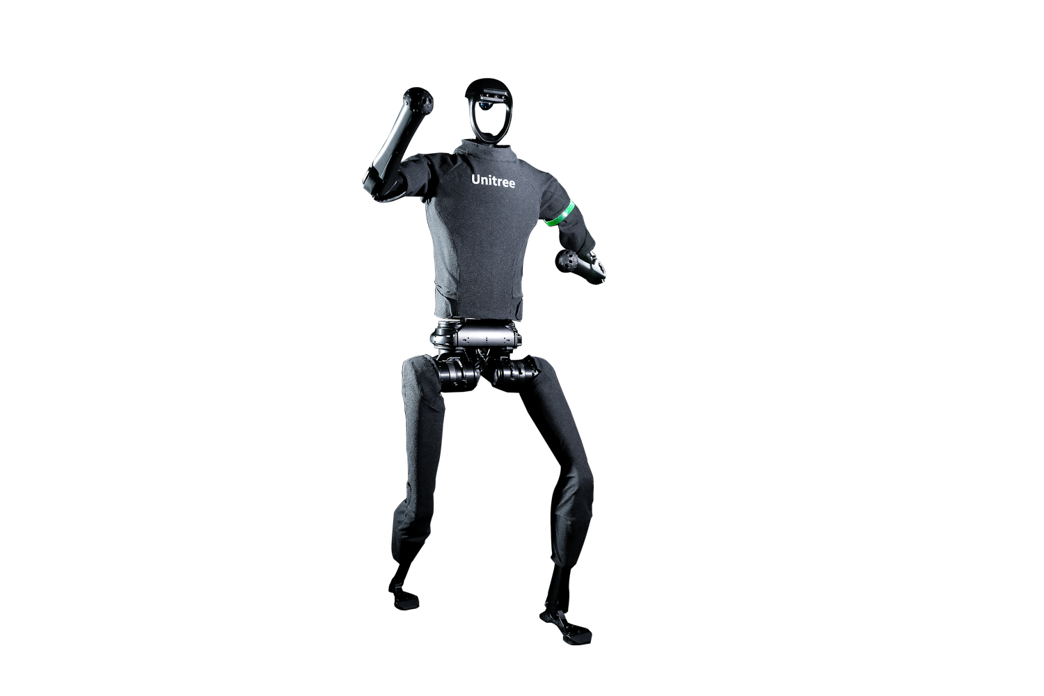 H1