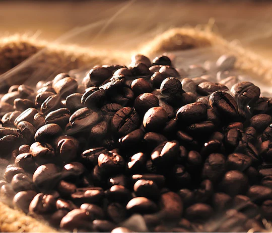 Premium Blend Coffee (Colombia, Ecuador, Indonesia, Uganda)