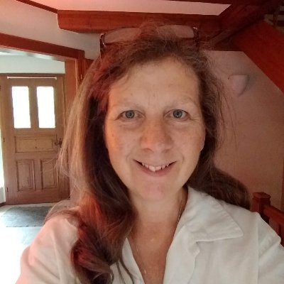 Jill 🚢 Notion workflows for readers & writers (@jillmetcalfe) / Twitter