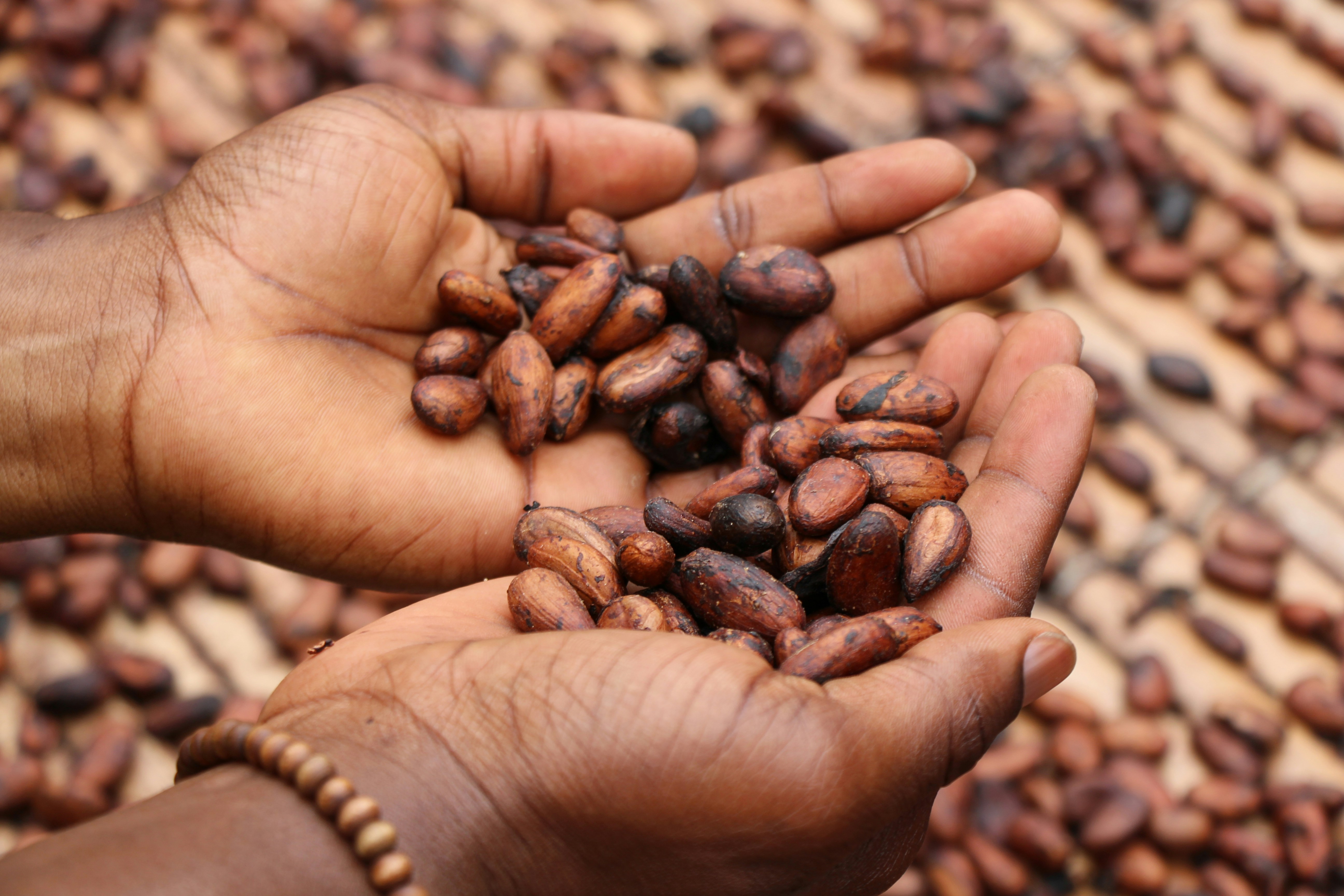 Chocolate Drink Without Sugar That Actually Tastes Good