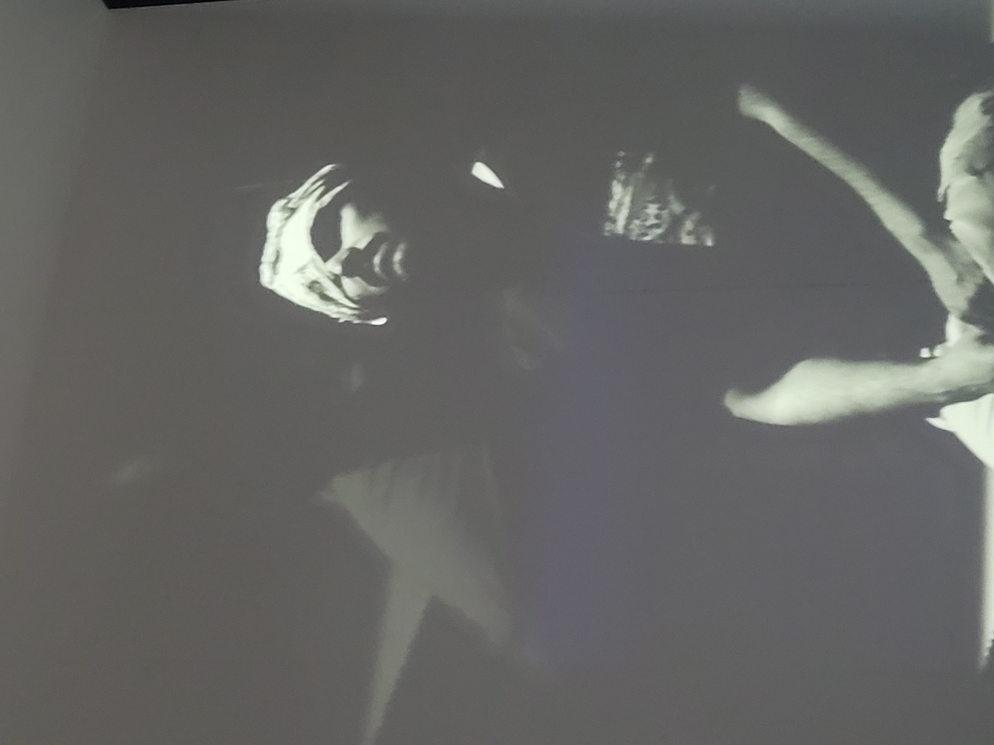 OW - Thumbprint (2025)