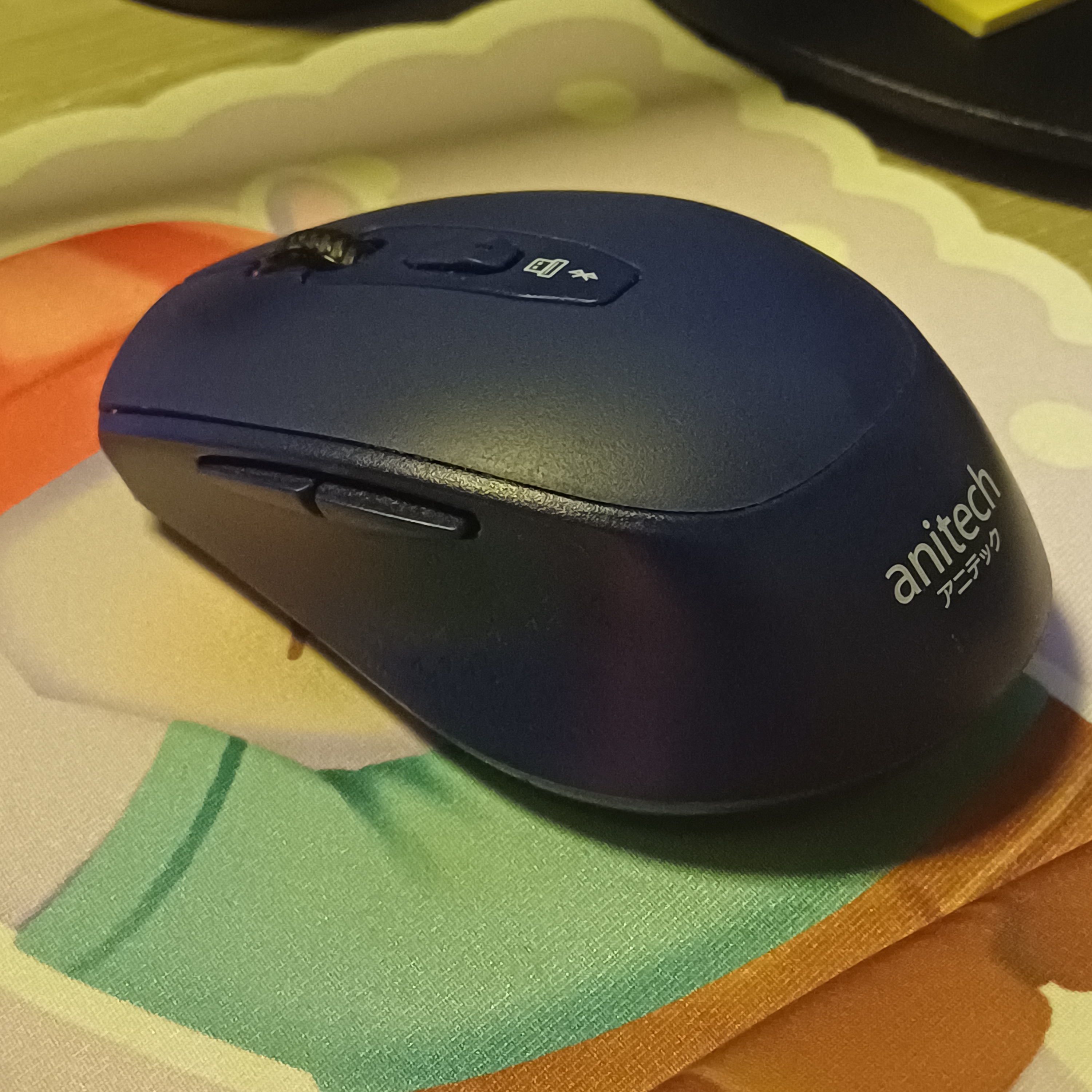 Anitech W2269