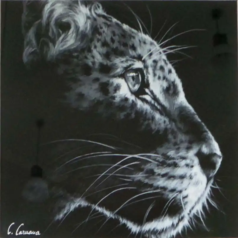 Clémence CARUANA - Image 19