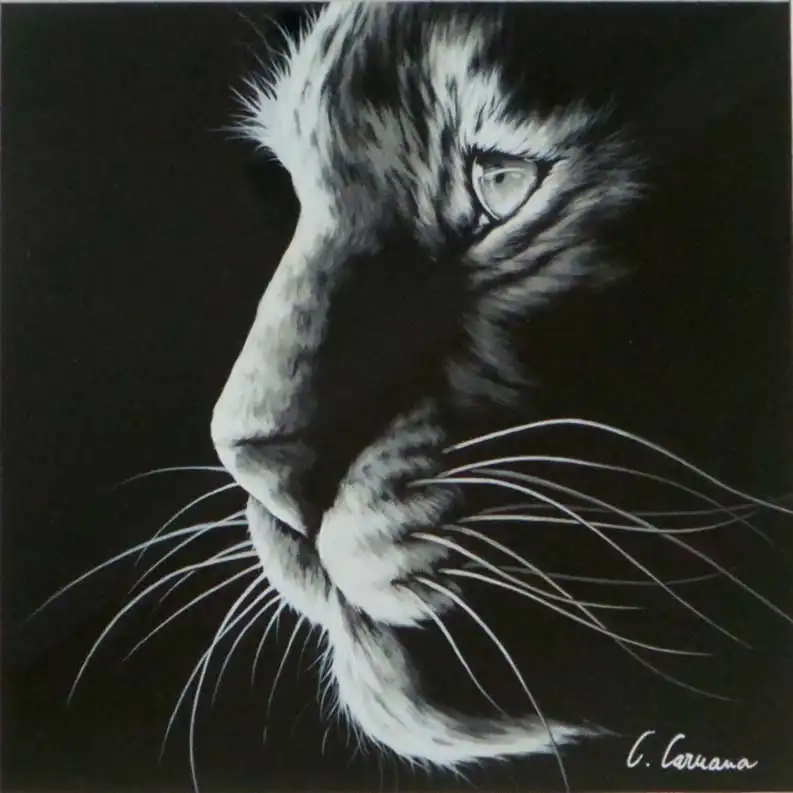 Clémence CARUANA - Image 2