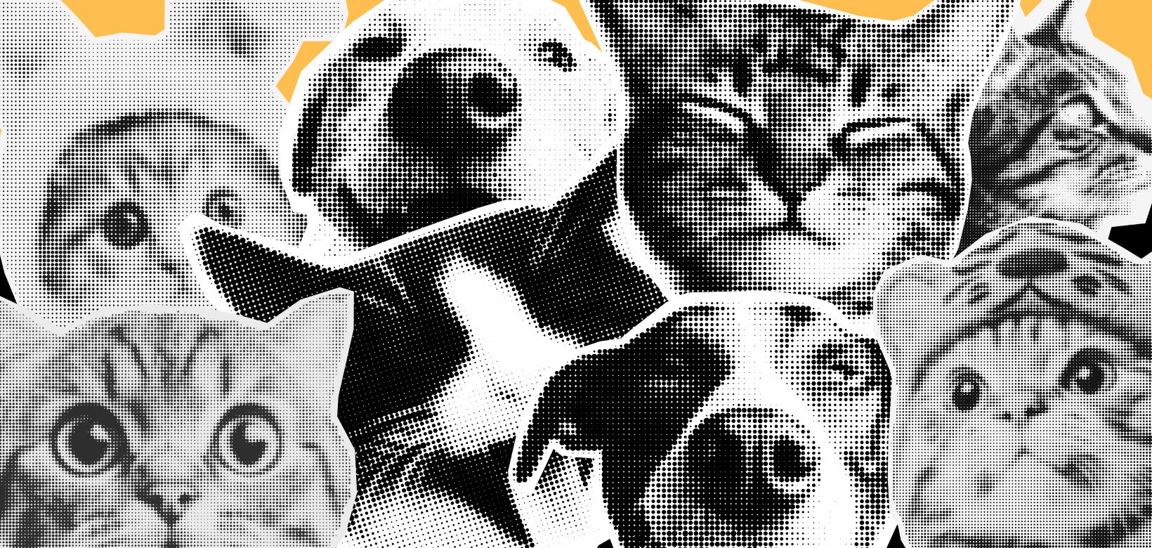 Фурсьют хендлери