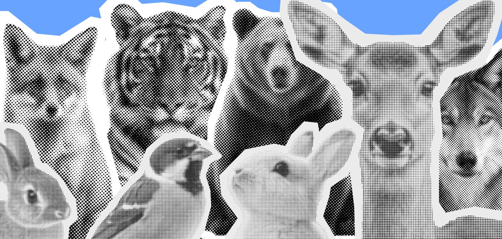 Важливі історії