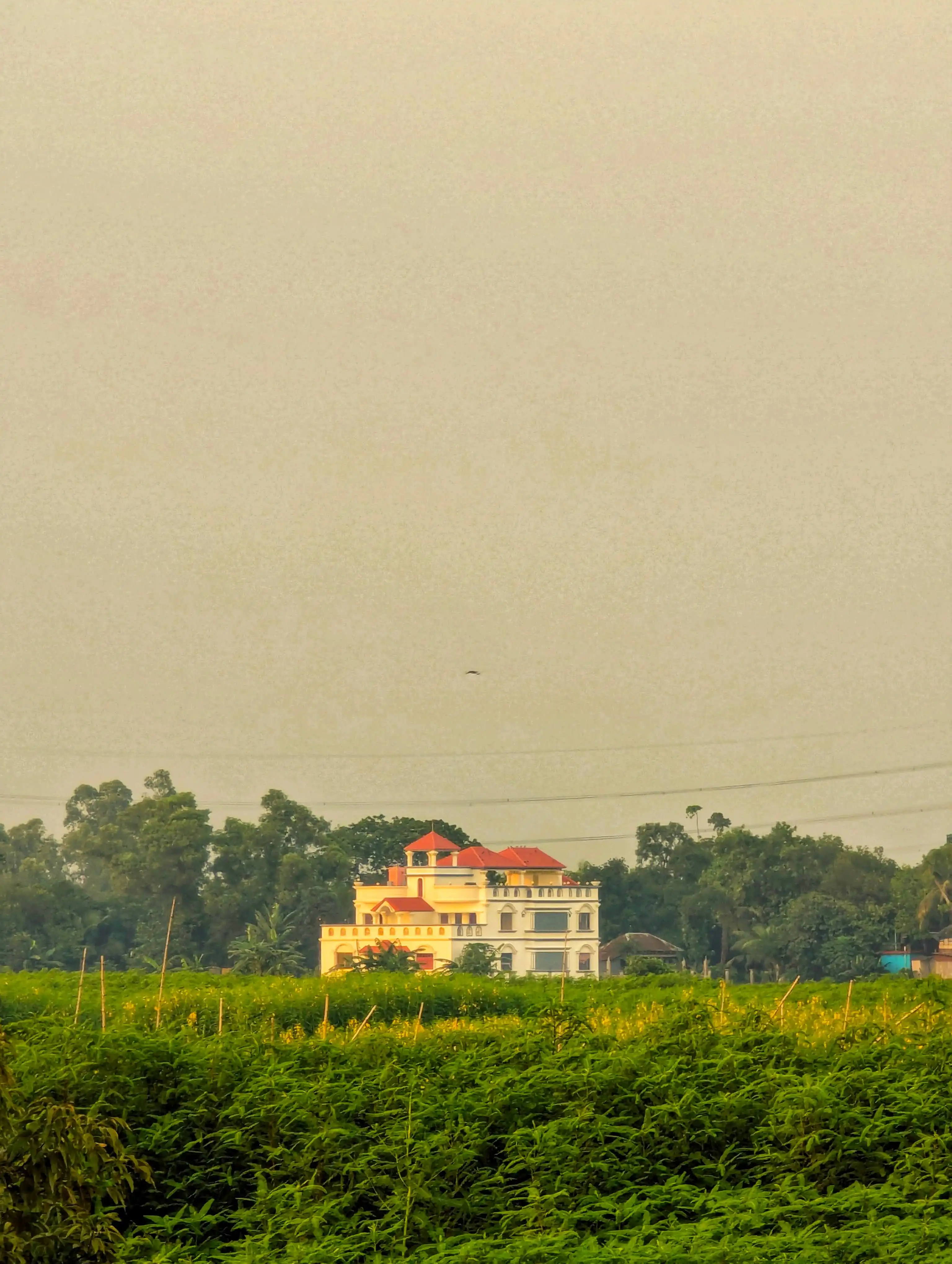 অনুমিতা