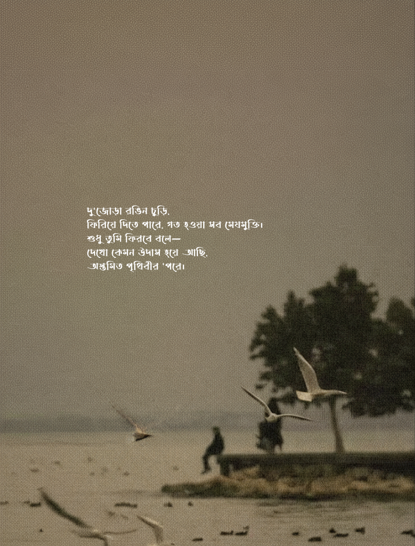 তুমি ফিরবে বলে