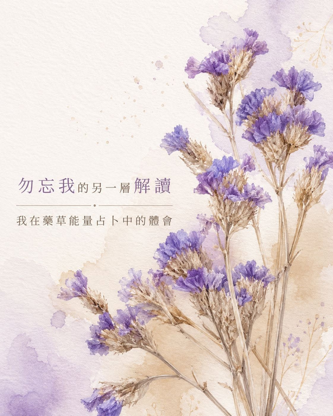 文章圖片