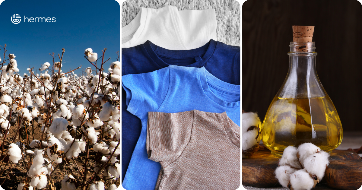 cotton_hermes.png