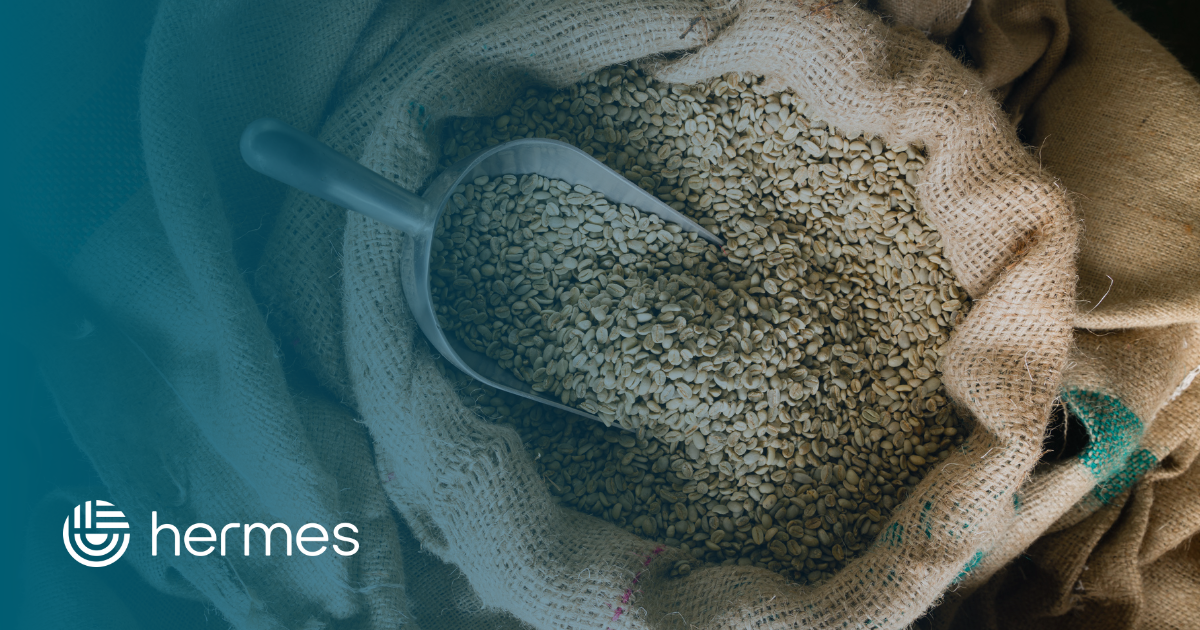 Blog_Hermes-5.png