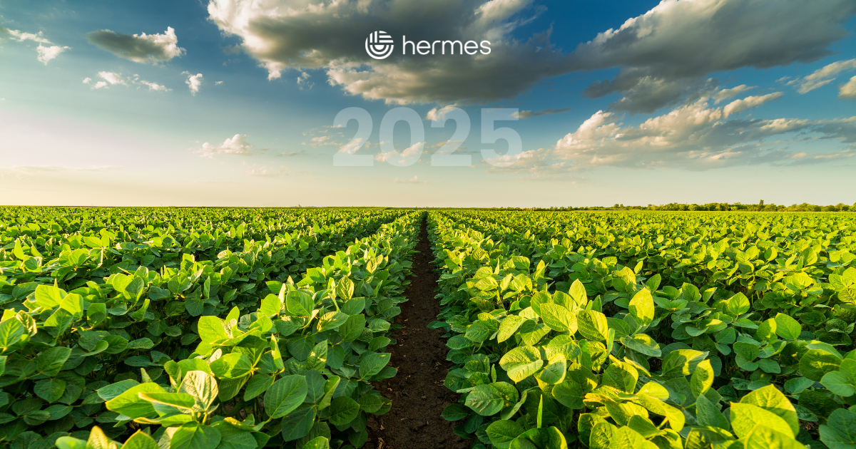 Blog_Hermes-4.png