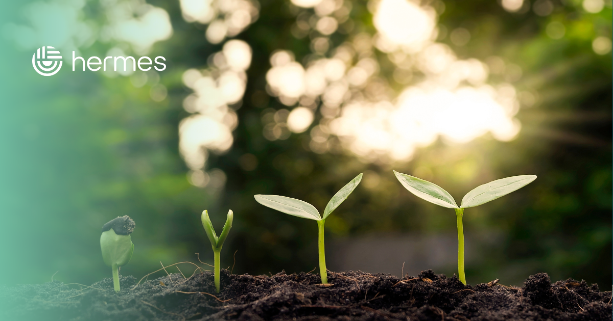 Blog_Hermes-3.png