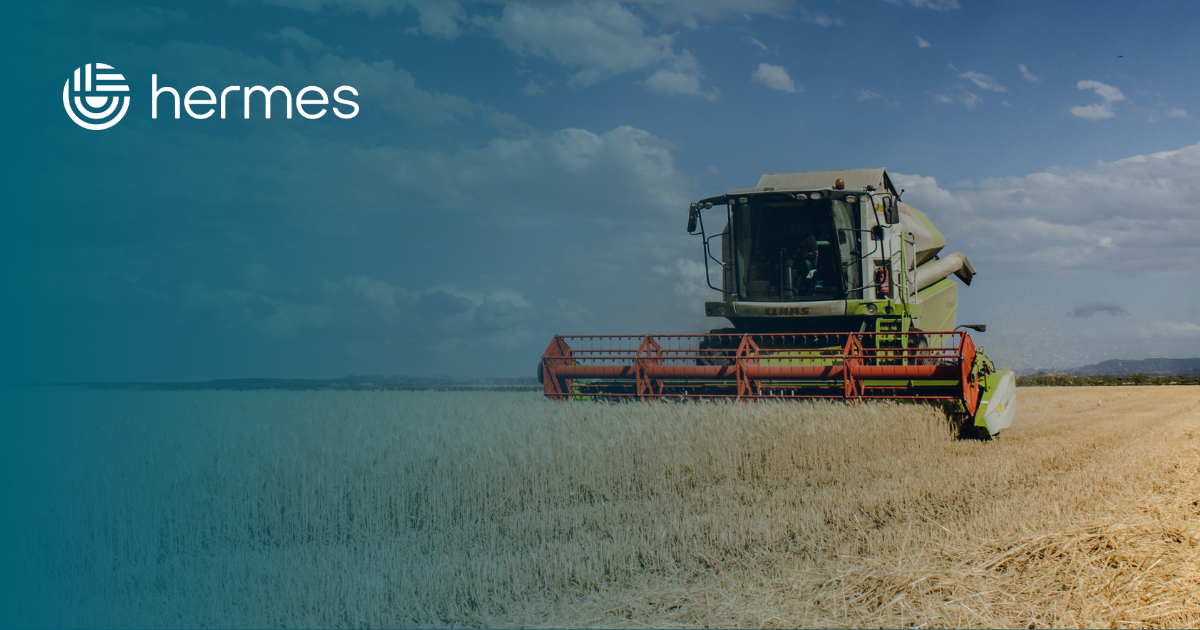 Blog_Hermes-7.png