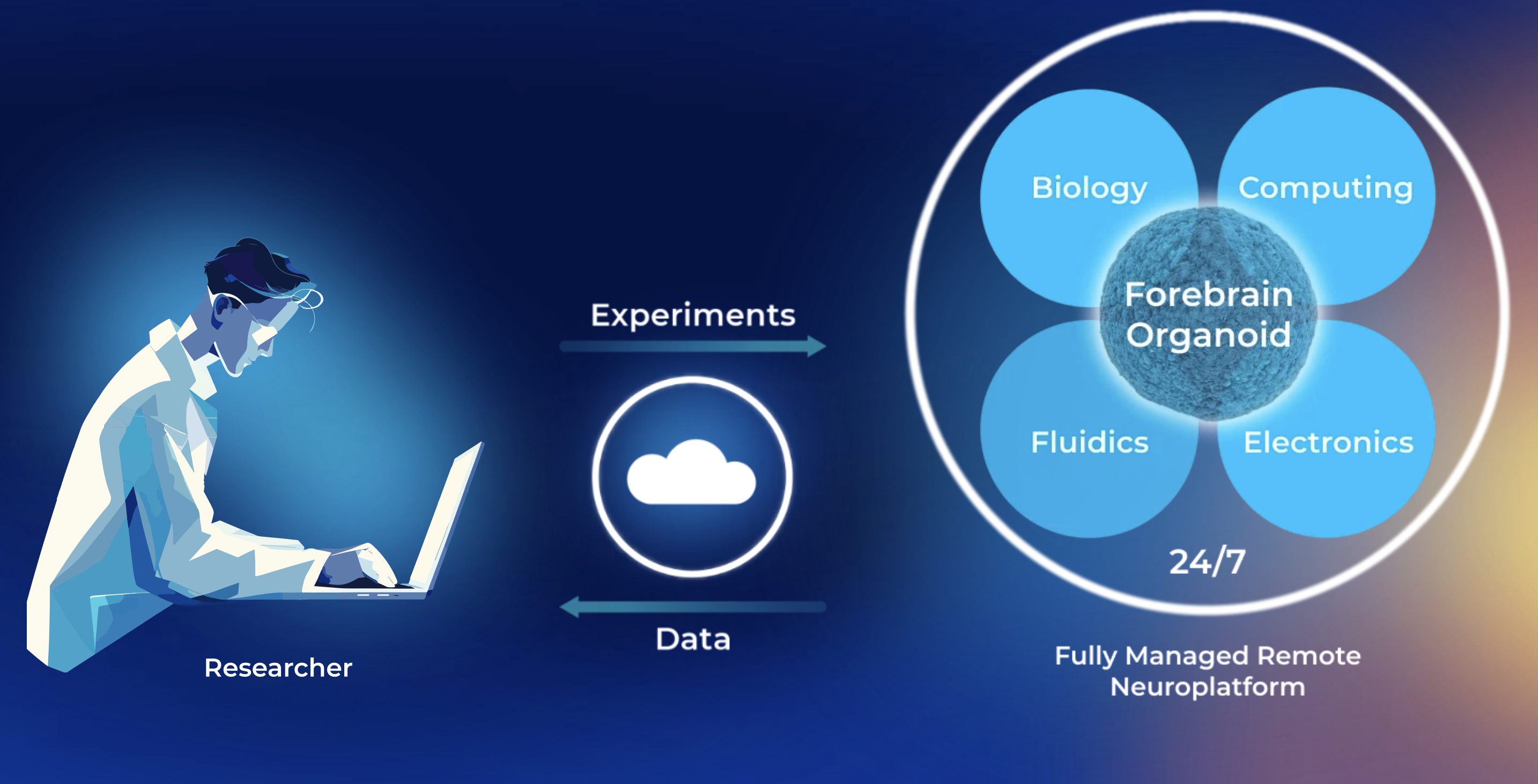 Final Spark’s recently released $500 per month Forebrain Organoid remote access Neuroplatform