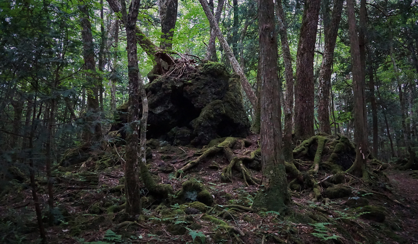 Aokigahara: Where Whispers of the Yurei Haunt the Sea of Trees