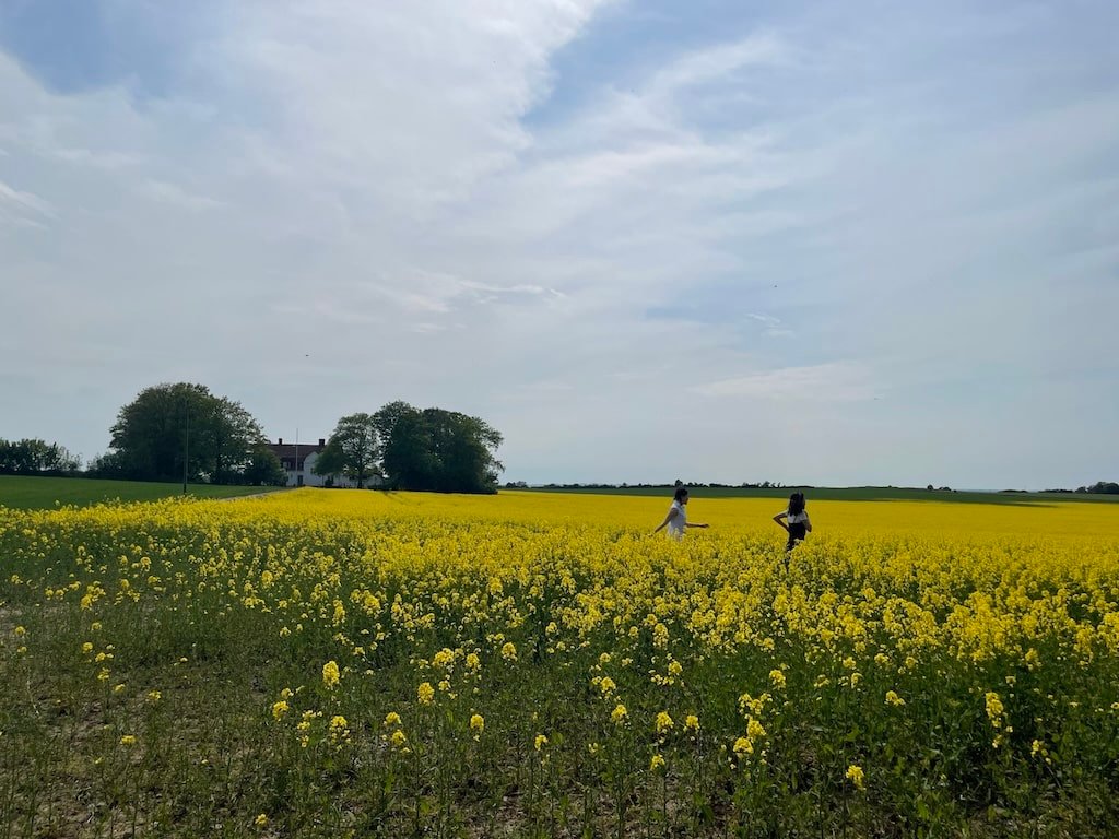 瑞典 – Skåne 春日鄉村自駕4日遊
