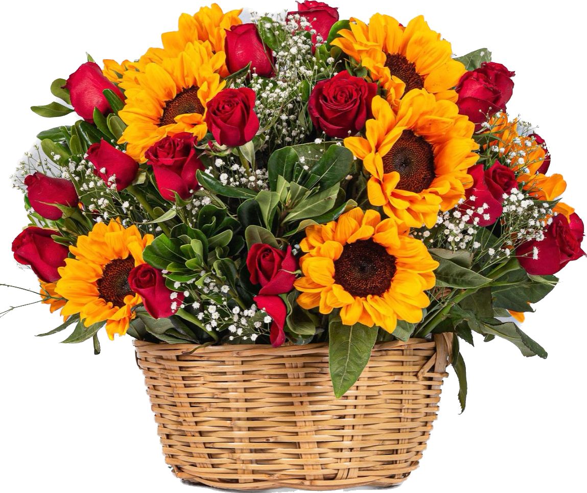 Canasta primavera: Rosas y girasoles — Celebraciones. Arreglo floral de Flores Les Roses con envío a domicilio en Bogotá.