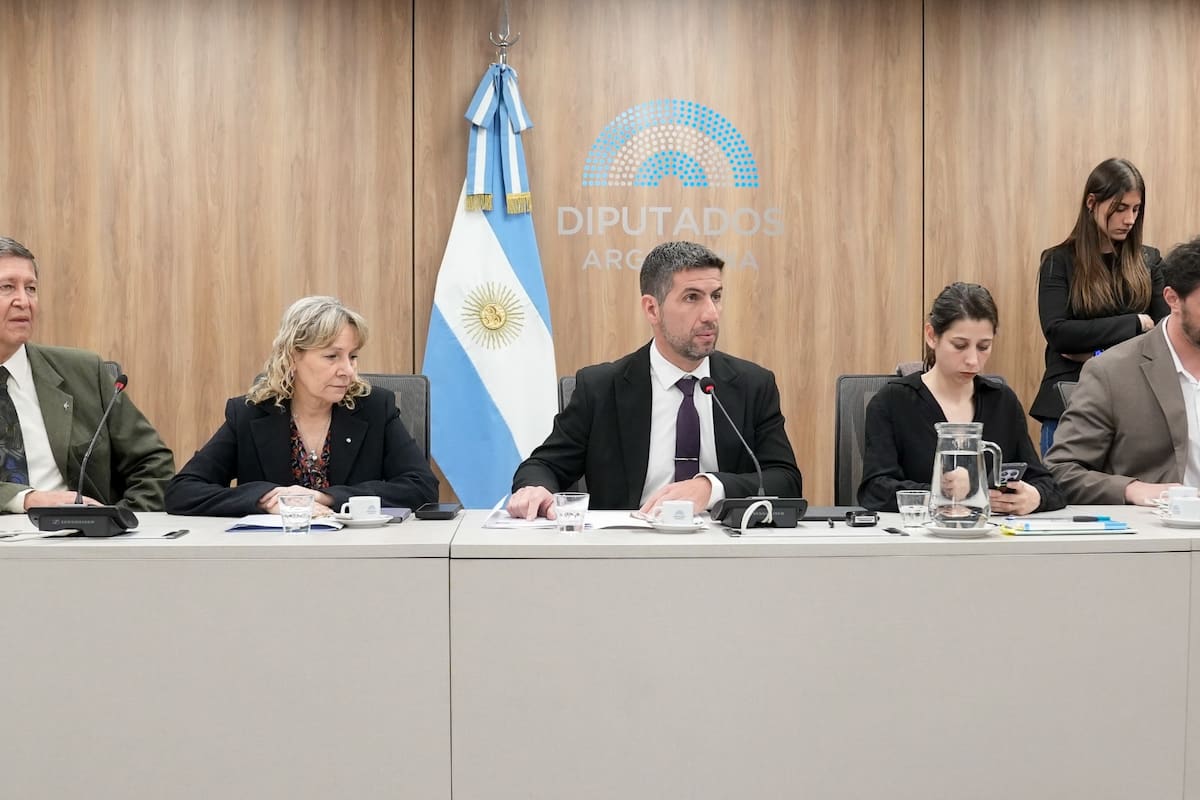 "Manuel Quintar, presidente de la Comisión de Salud de Diputados." (LA NACION)