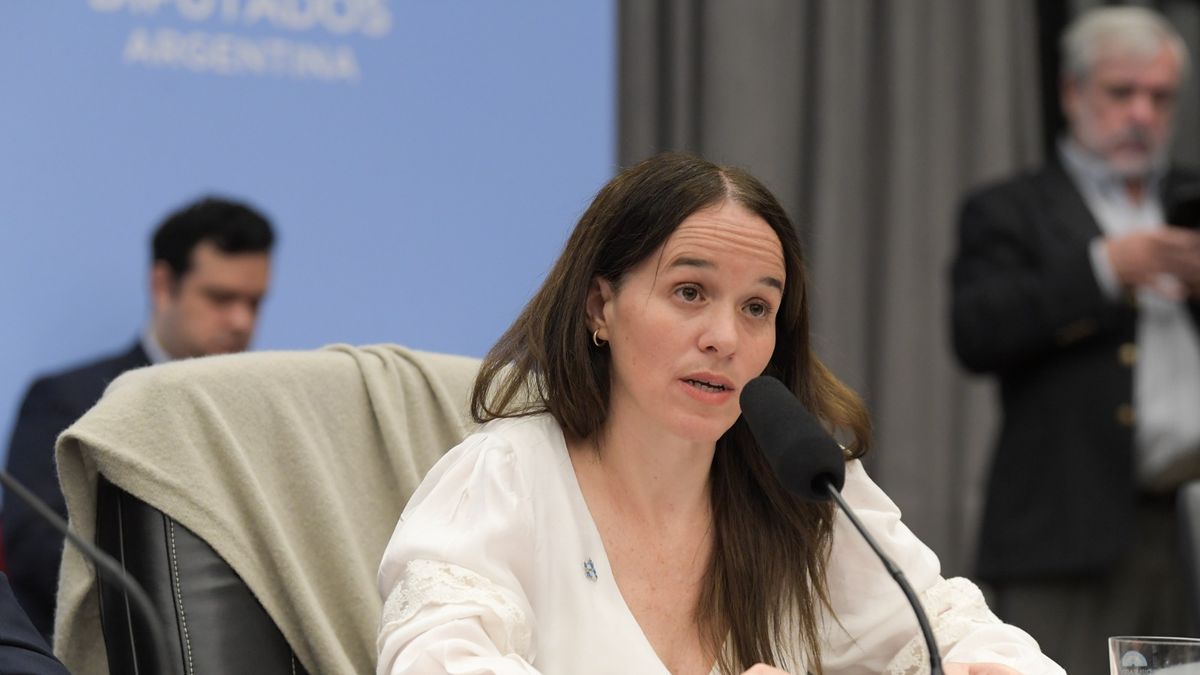 “Todo tiene que ver con Malvinas” (Ámbito / Foto Diputados)
