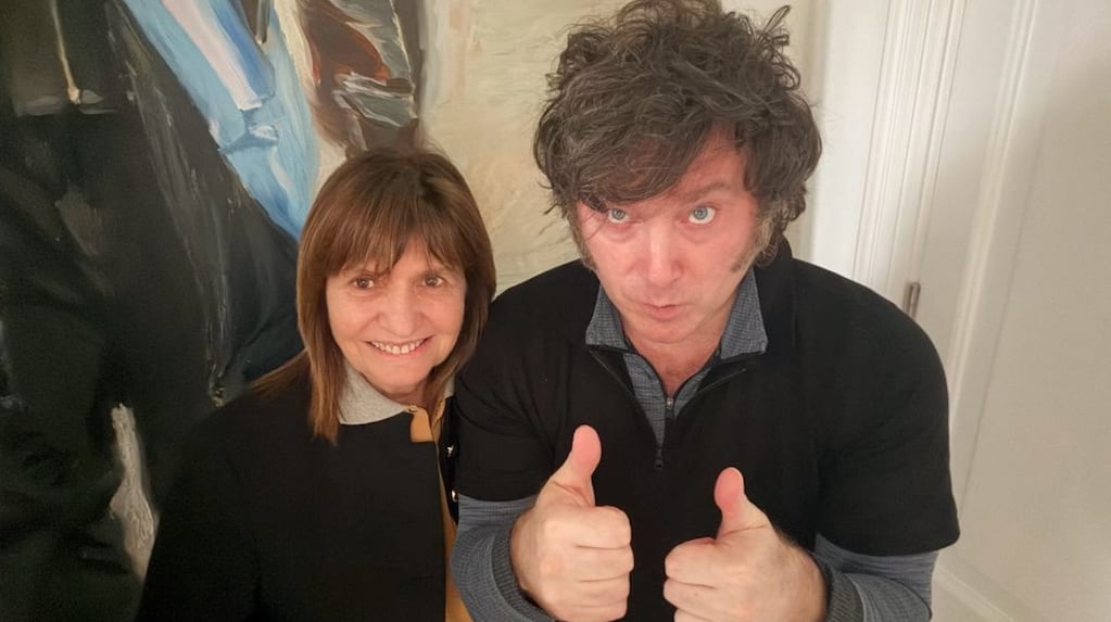 “Hablamos de todo lo que vengo planteando, con total sinceridad” (TN / Foto: X @PatoBullrich)