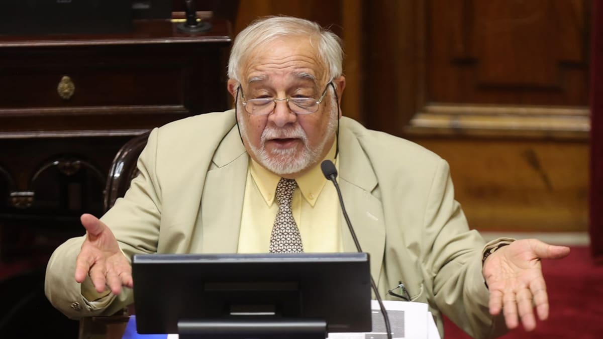 "Pagotto, en una sesión en el Senado." (La Nación)