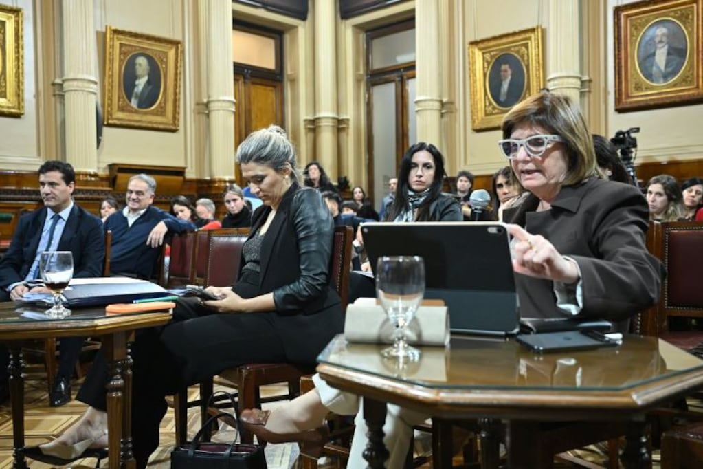 “Frente a esa postura, reafirmamos la vigencia y necesidad de las primarias como una garantía de efectiva democracia dentro de la vida de los partidos políticos” (TN)