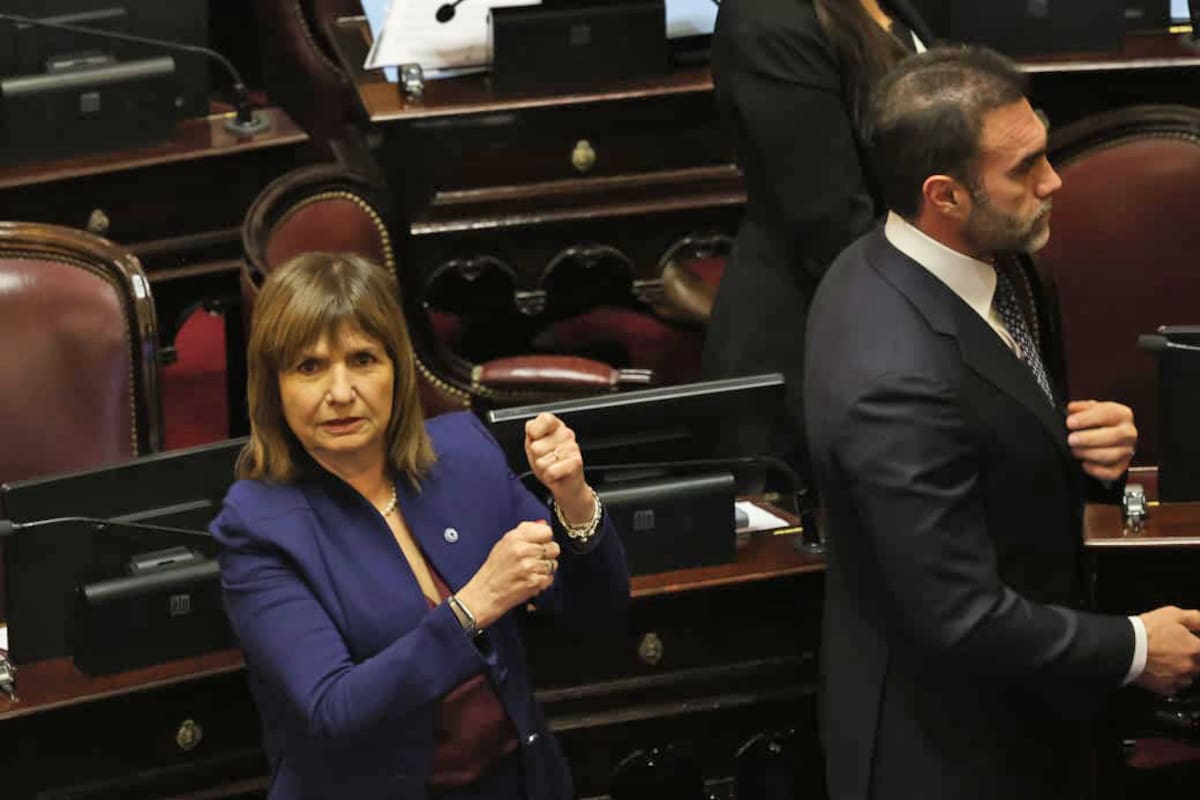Patricia Bullrich y Atauche, en la sesión del Senado (La Nación)
