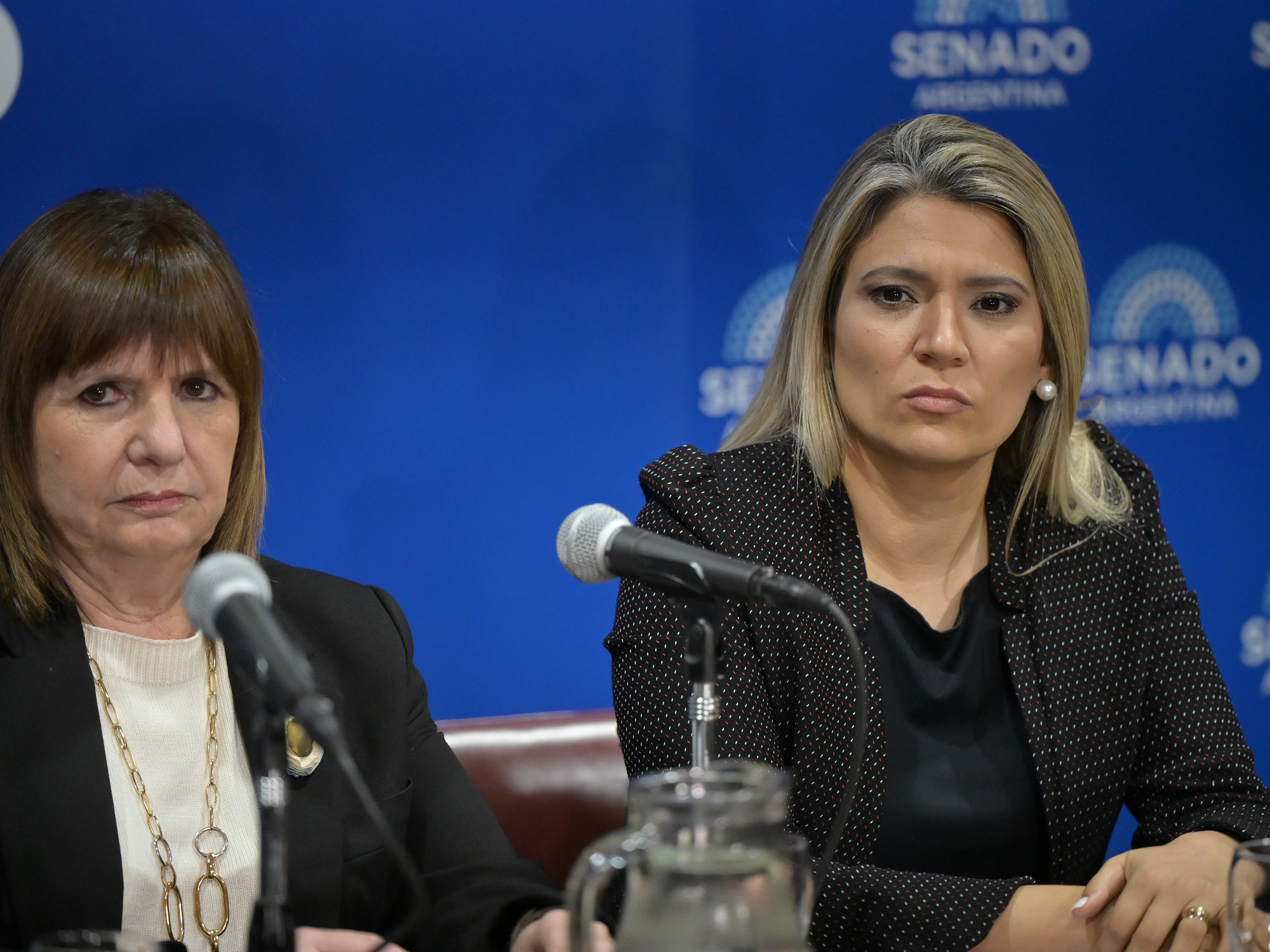 "Patricia Bullrich y Nadia Márquez, dos senadoras clave de La Libertad Avanza" (Clarín)