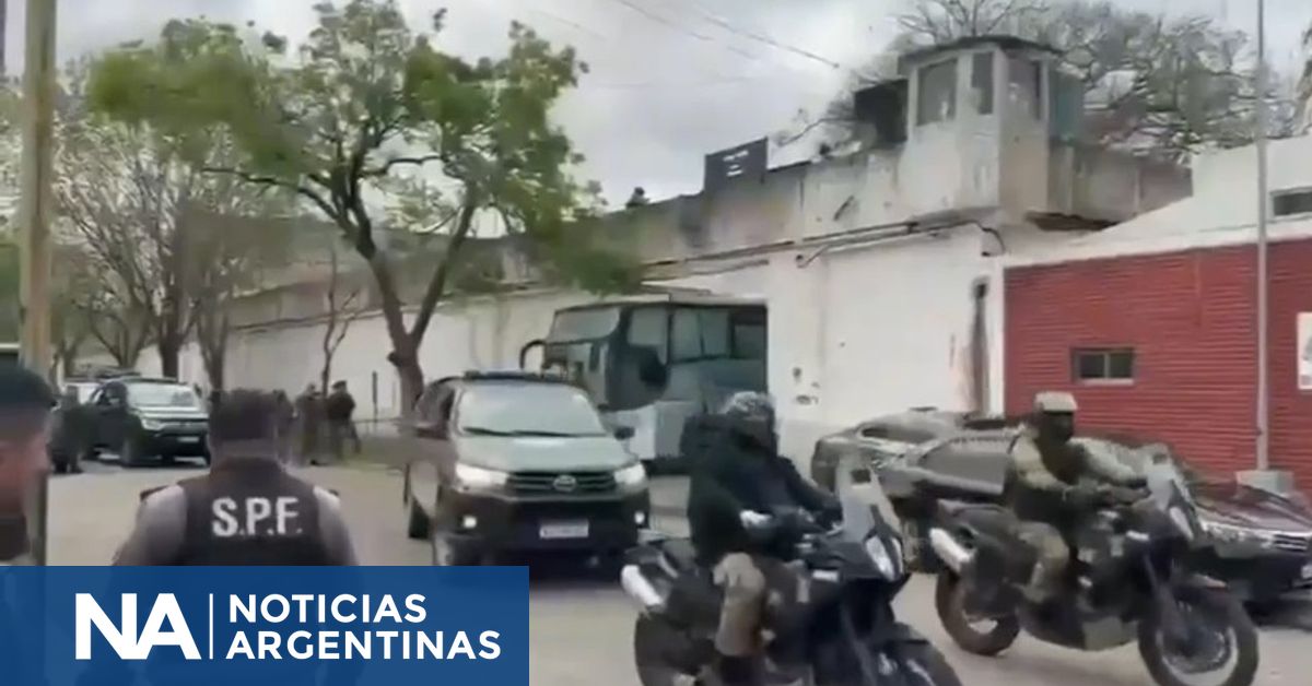 “de manera gradual y progresiva…” (Noticias Argentinas)