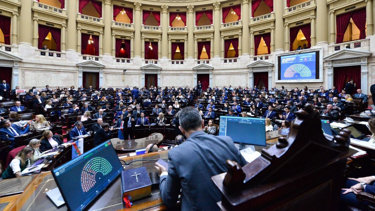 “El interés social no se va a apagar porque la sesión sea en dos semanas” (Ámbito / Foto: Diputados)