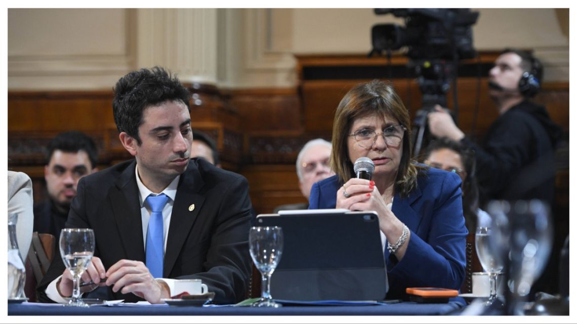 "No vamos a llegar a eliminar las PASO, vamos a buscar suspenderlas." (Diario Perfil)