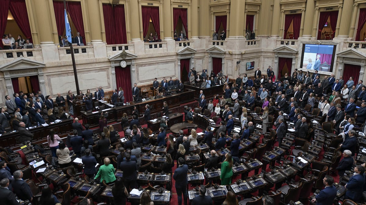 "Imagen de archivo de una sesión de la Cámara de Diputados." (TN)