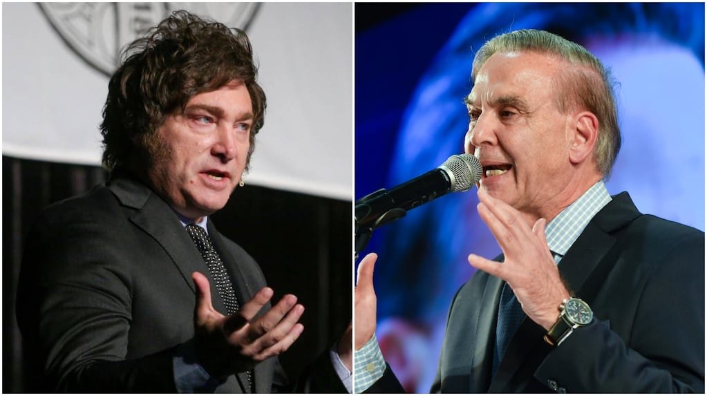 "Mientras la Justicia demora, se pueden concretar esas ventas, con grave riesgo para el patrimonio nacional", advirtió Miguel Ángel Pichetto tras el rechazo de la medida interina. (TN)