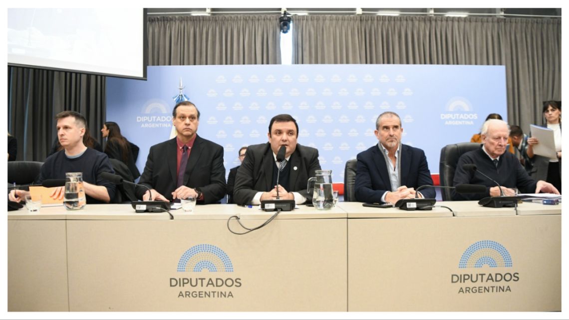"Después de bloquear durante un año el debate, LLA logró dictamen por Discapacidad." (Diario Perfil)