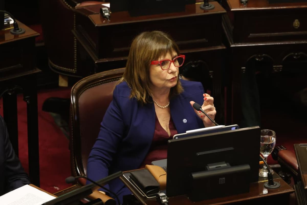 "Patricia Bullrich, jefa del bloque oficialista en el Senado." (La Nación)