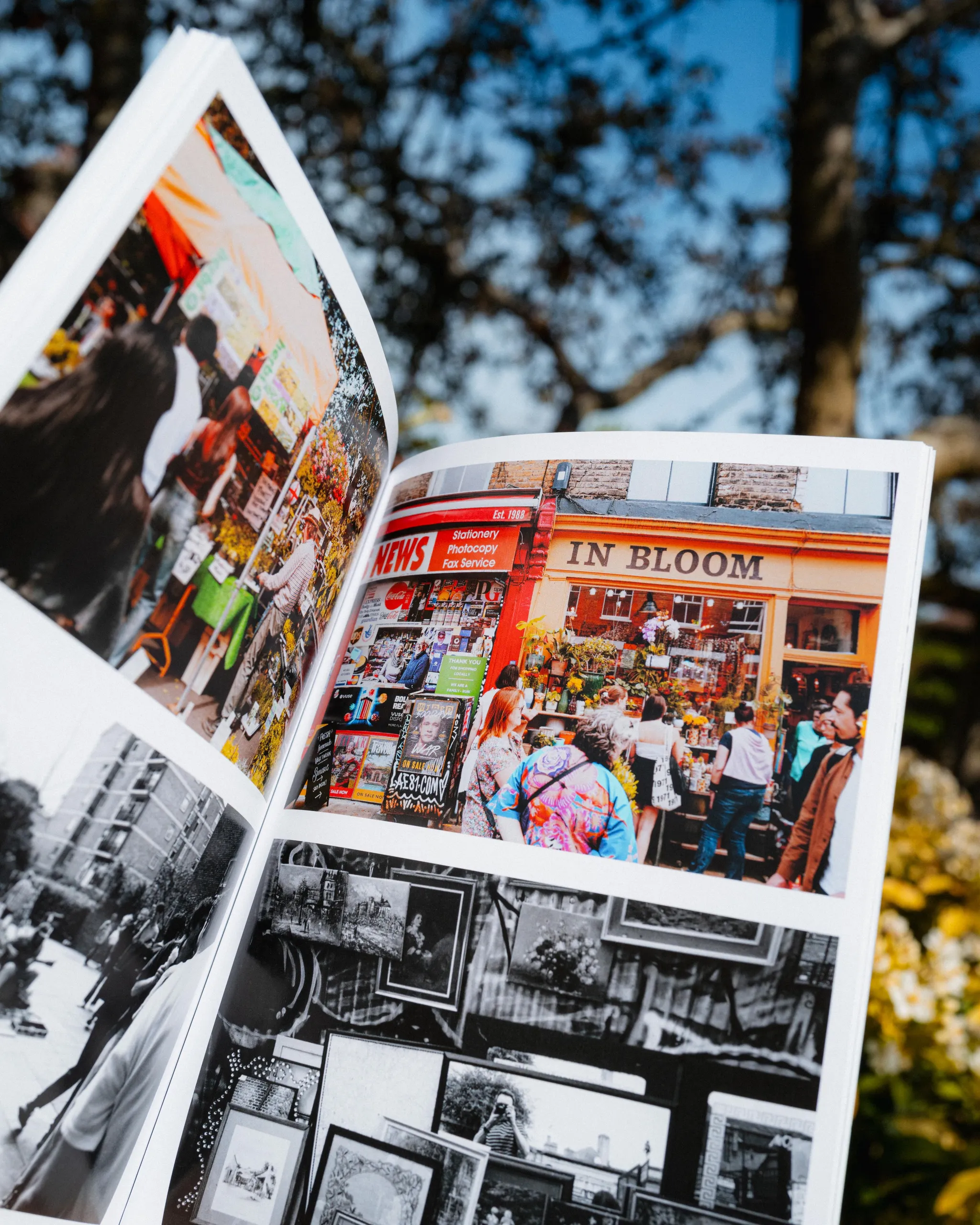 Collected Photographs (2023) preview 7