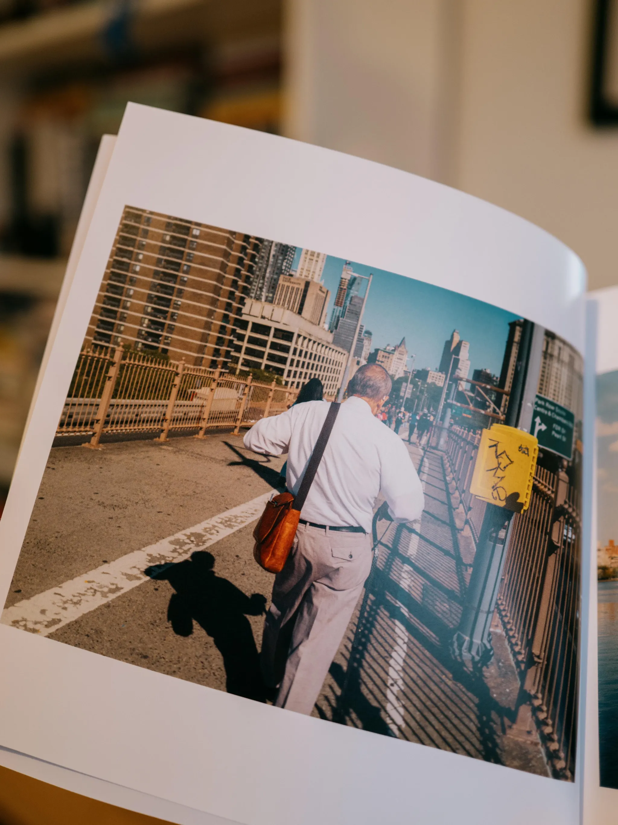 New York in Colour (2024) preview 4