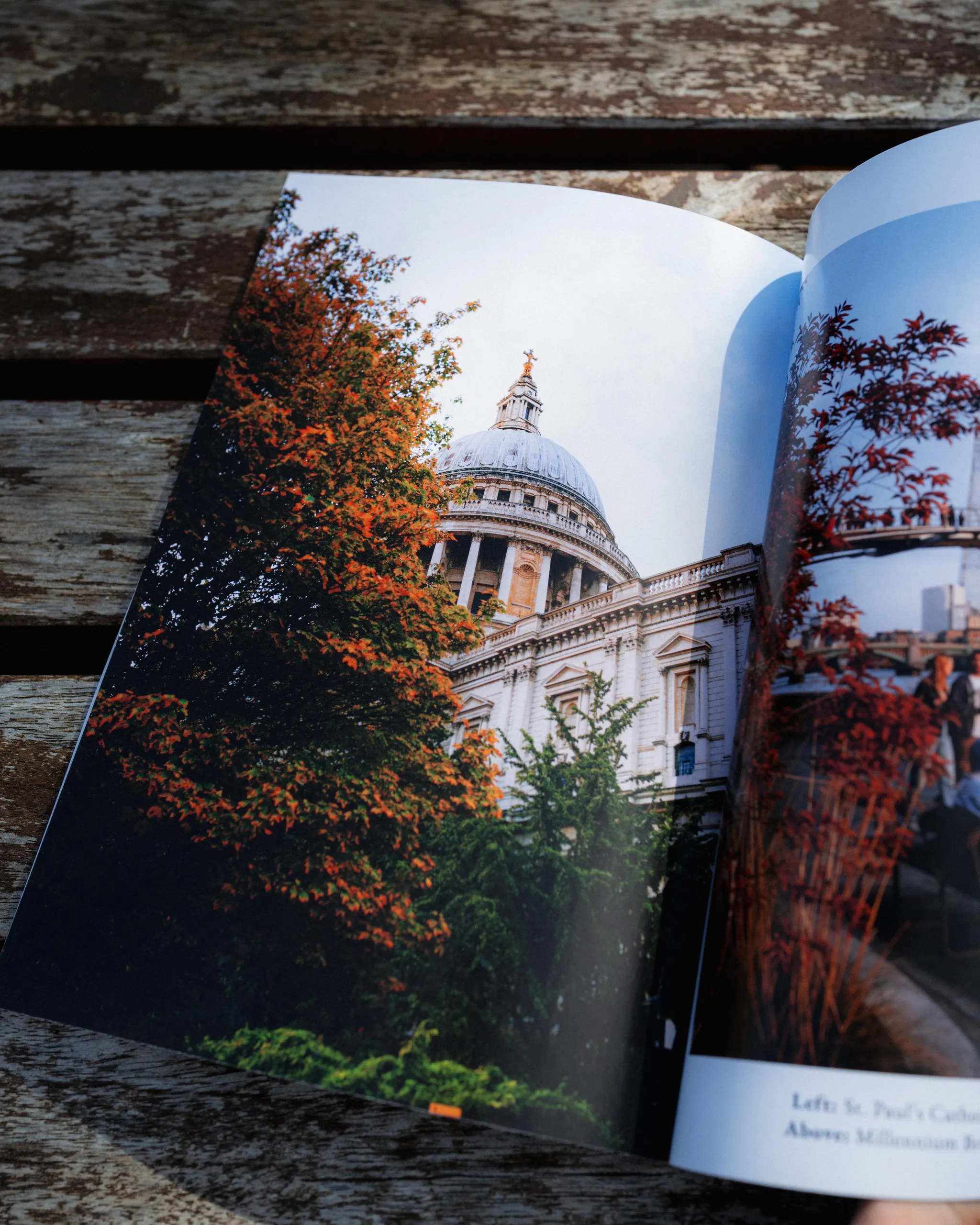 Collected Photographs (2023) preview 6