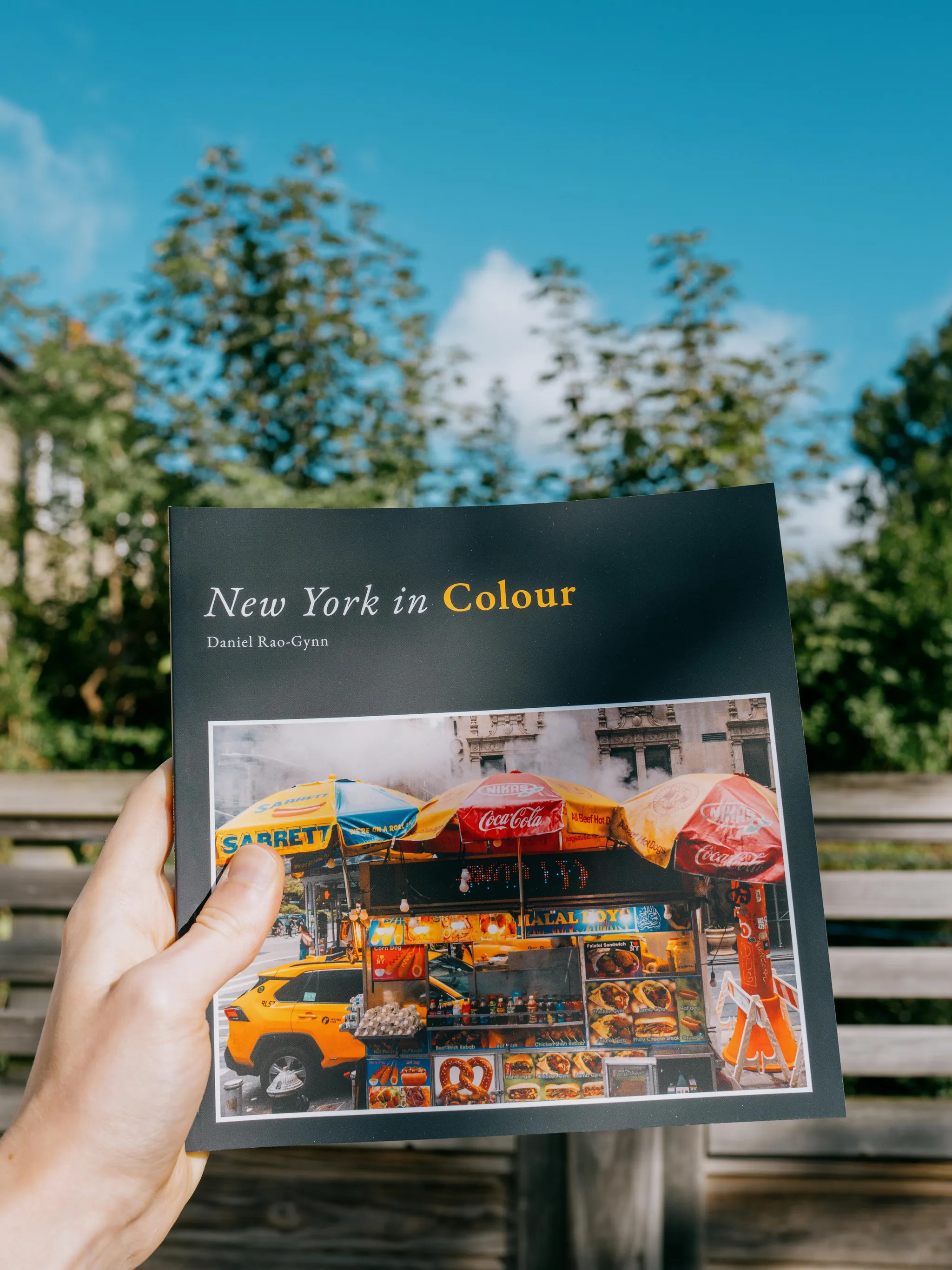 New York in Colour (2024) preview 1