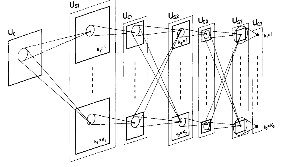 Schematic diagram illustrating the interconnections between layers in the neocognitron