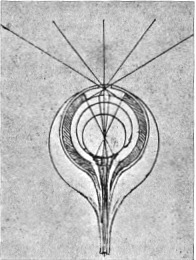 Anatomical Drawing of the Human Eye - Leonardo da Vinci