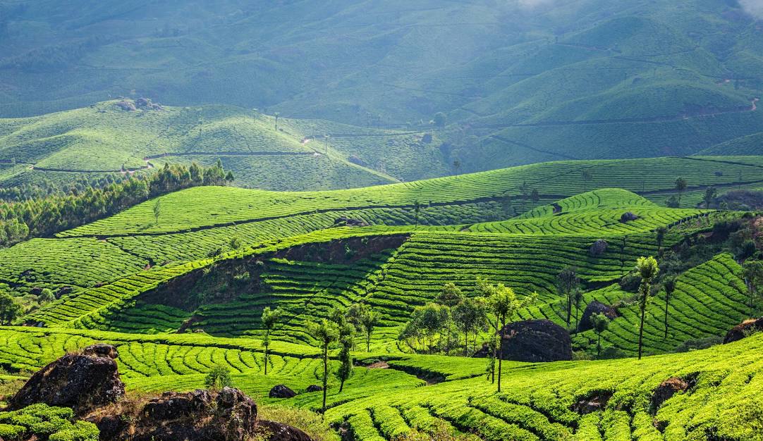 Vagamon gallery 1