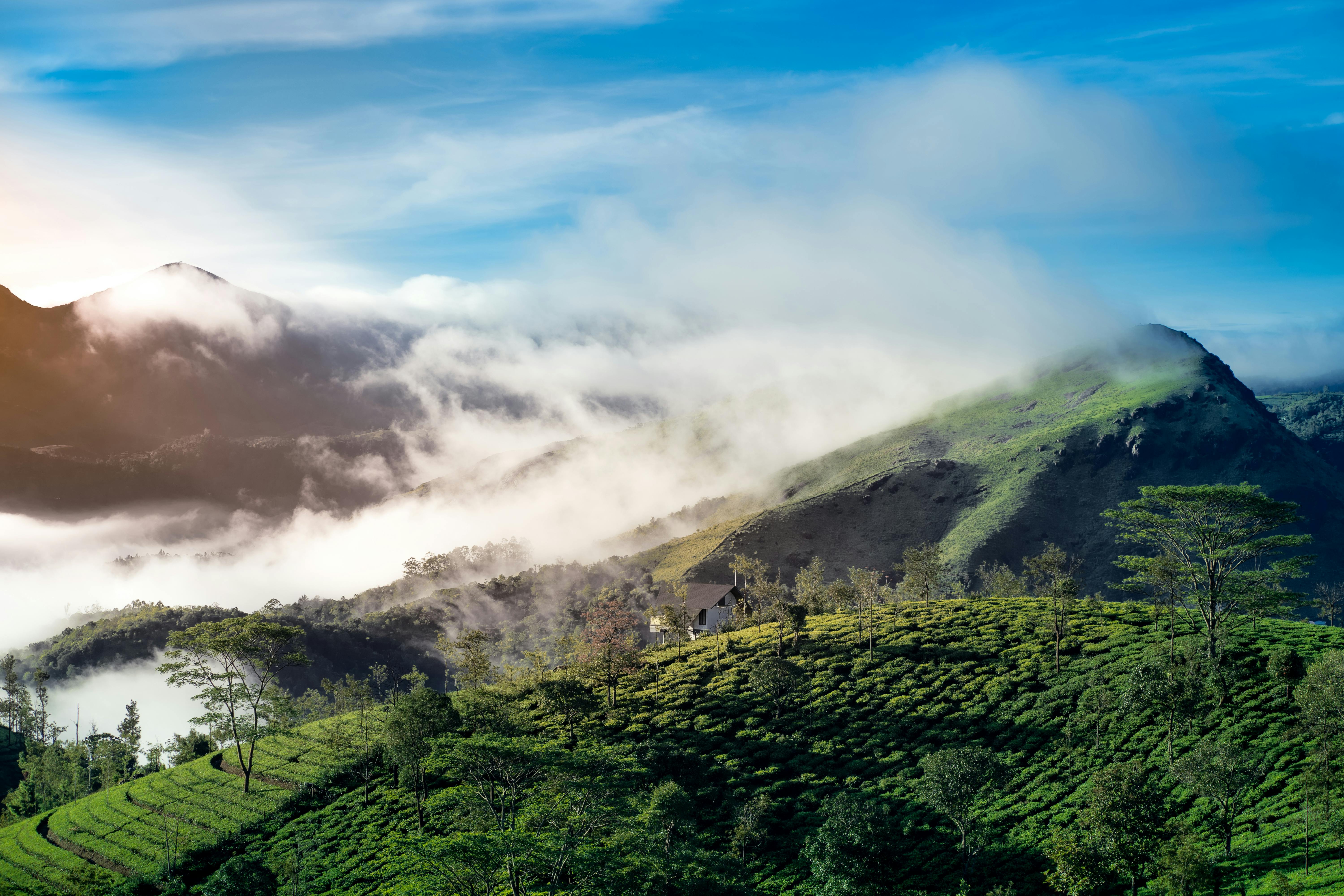 Munnar - view 2