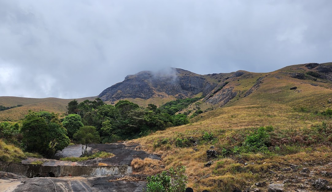 Eravikulam
