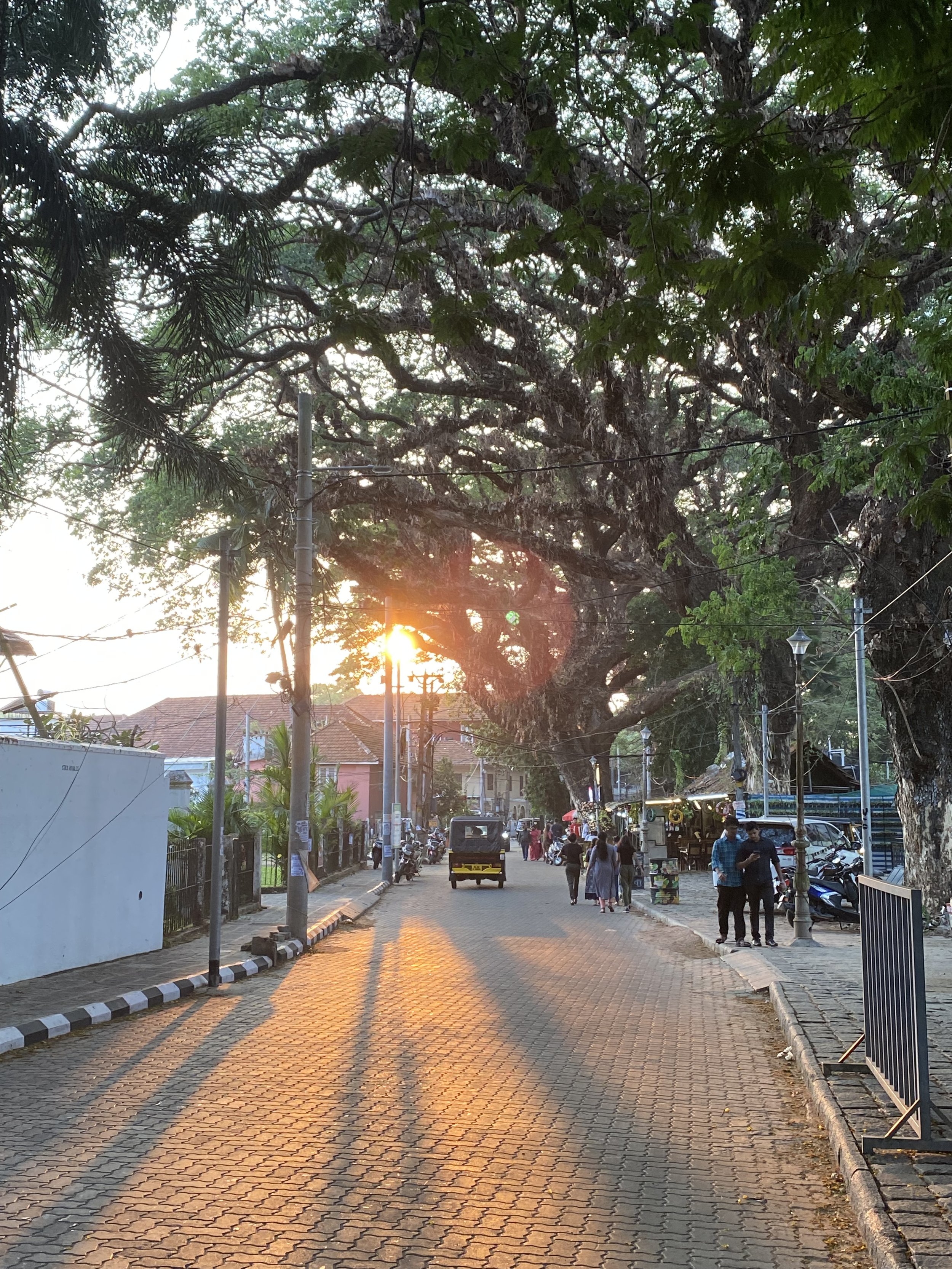 Kochi gallery 1