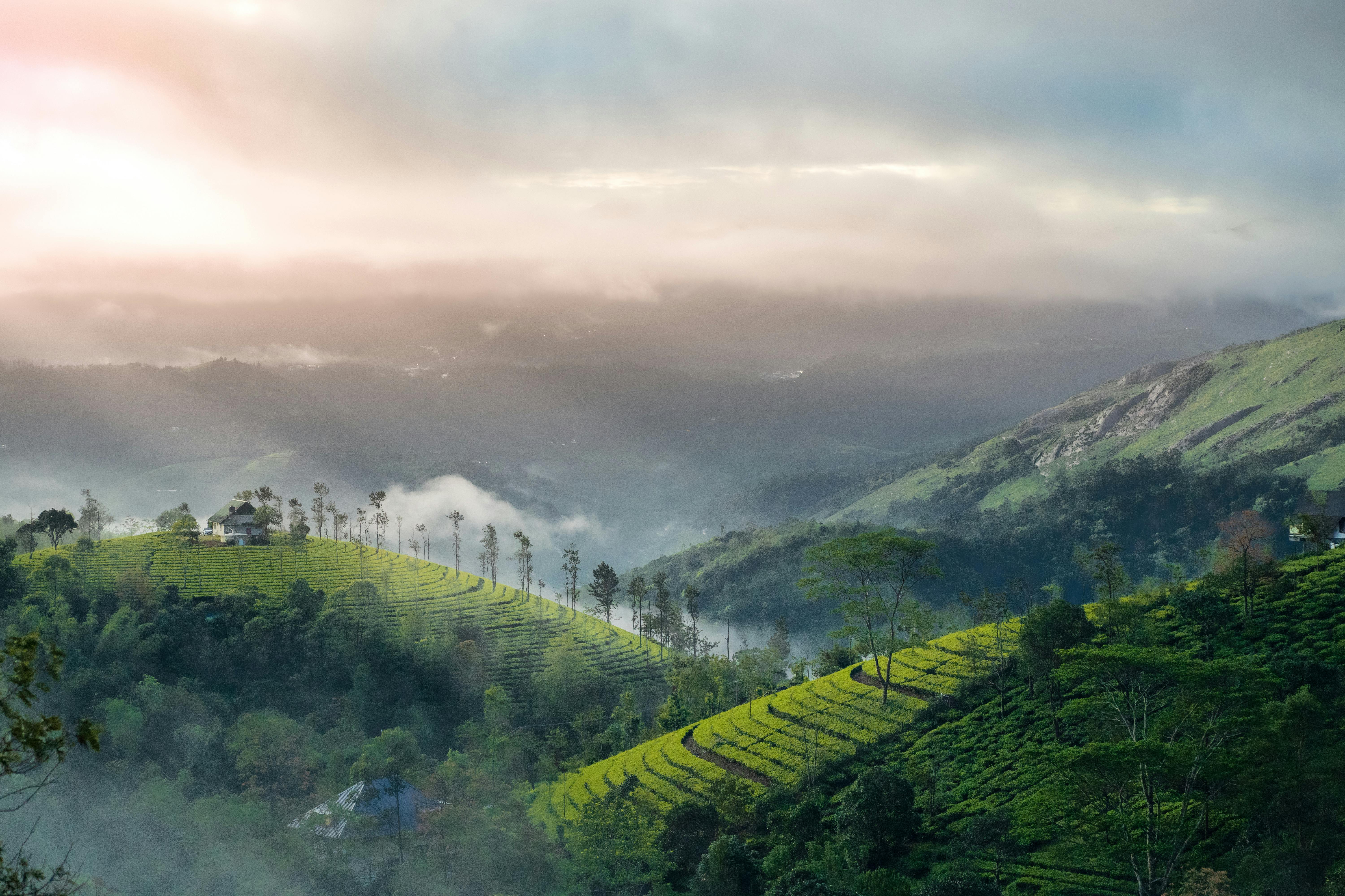 Vagamon gallery 2