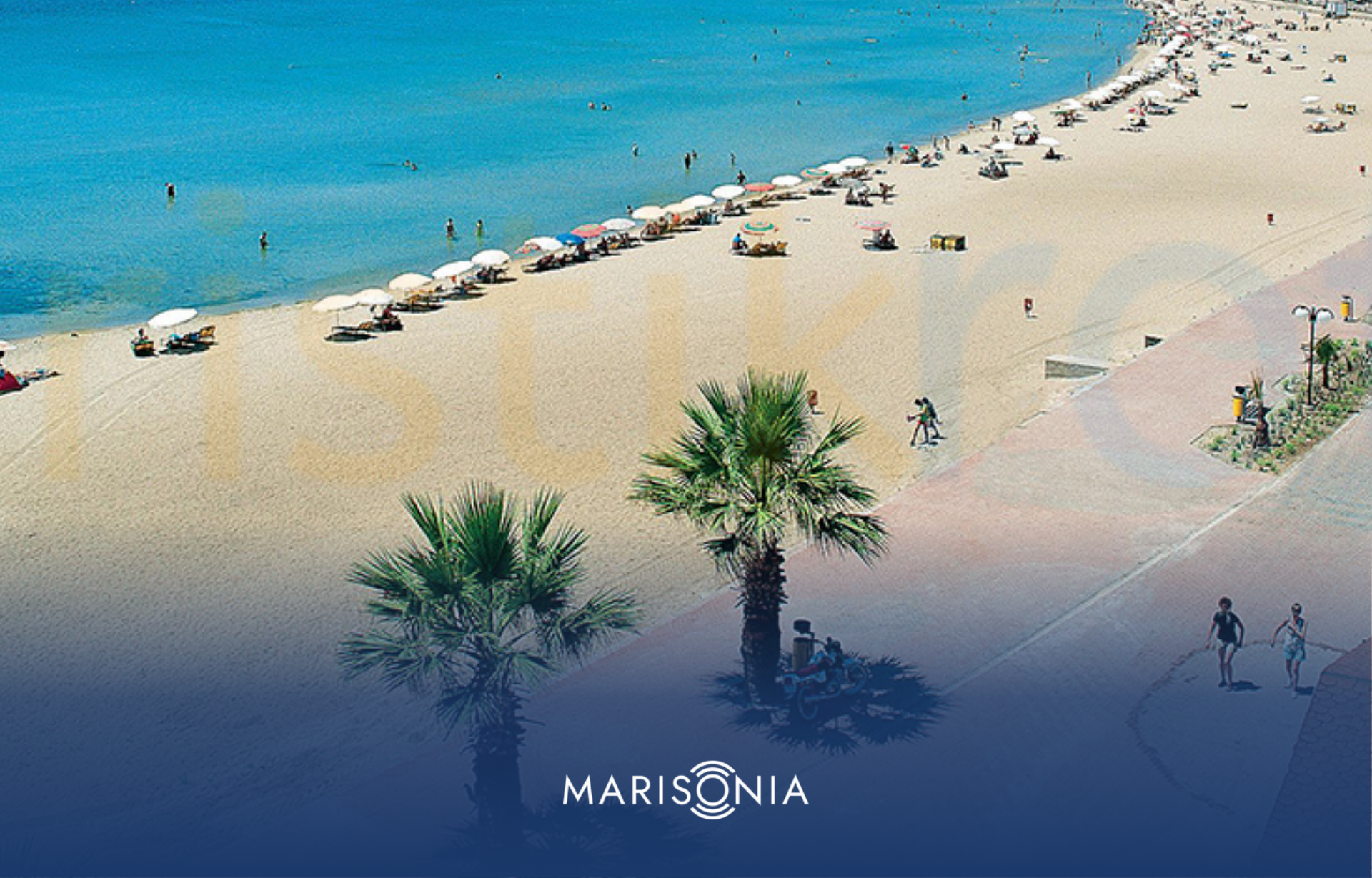 Didim’deki Marinalar Neler?