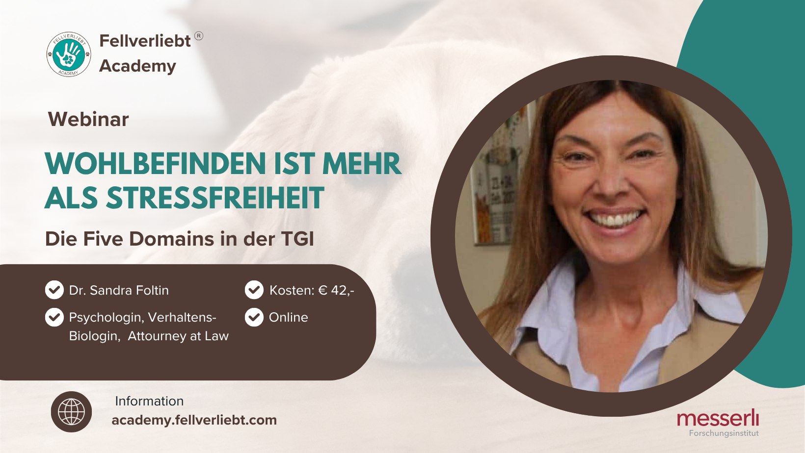 Wohlbefinden ist mehr als Stressfreiheit – die Five Domains in der TGI