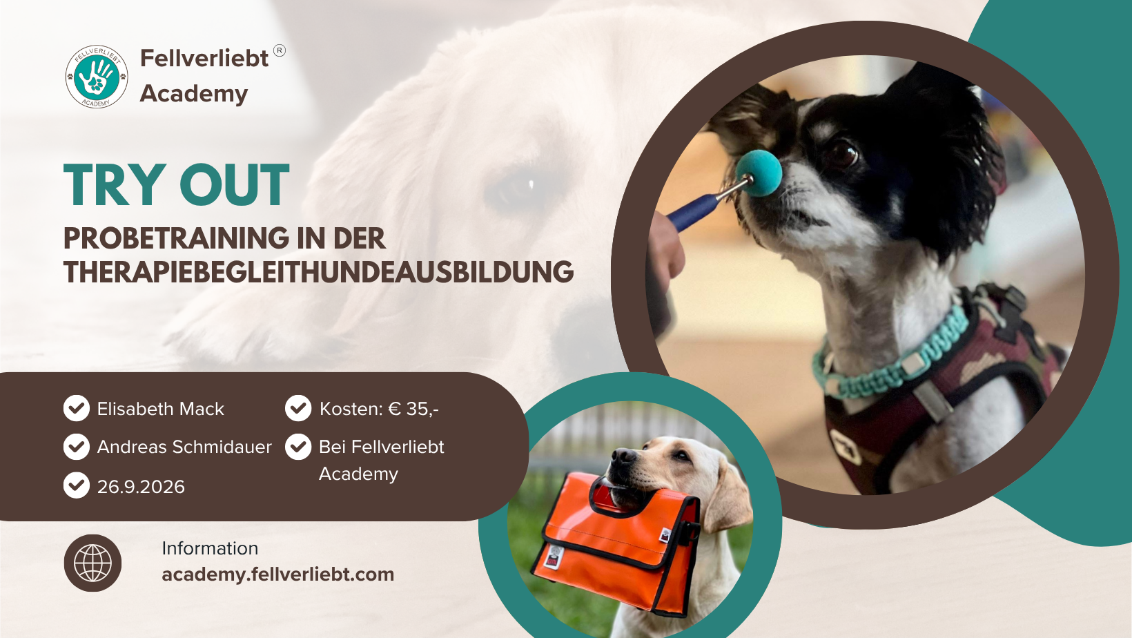 TryOut - Probetraining in der Therapiebegleithundeausbildung